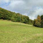 Winterberg im Herbst